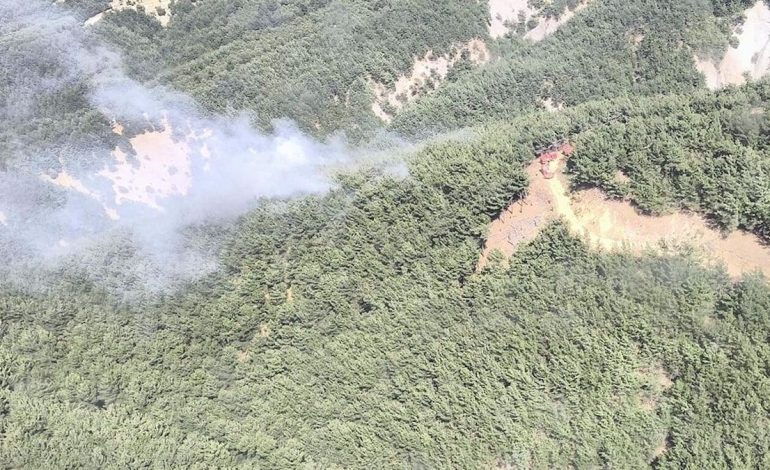 Çanakkale’de orman yangını: Ekipler seferber oldu