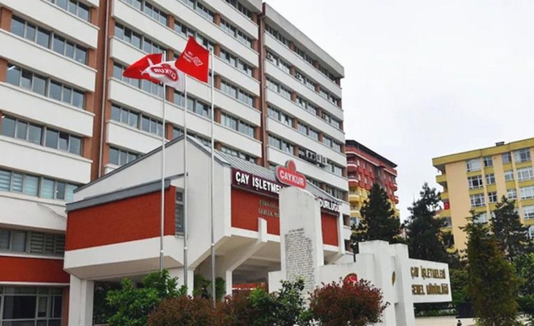 ÇAYKUR’un mevsimlik işçi alımı için 28 bin başvuru