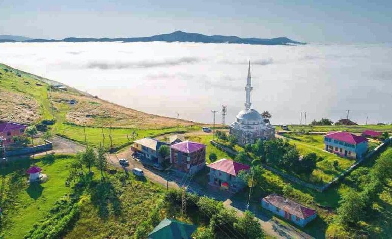 Cennete siyanür