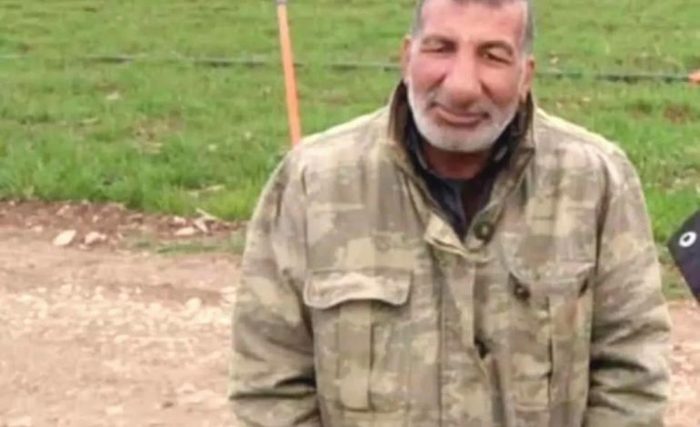 Ceylanpınar’da Koyun Otlatan Adama Otomobil Çarptı: Bir Ölü