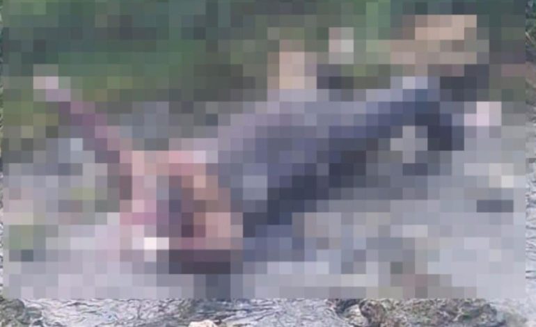 Cezaevinden izinli çıkmıştı cesedi derede bulundu!