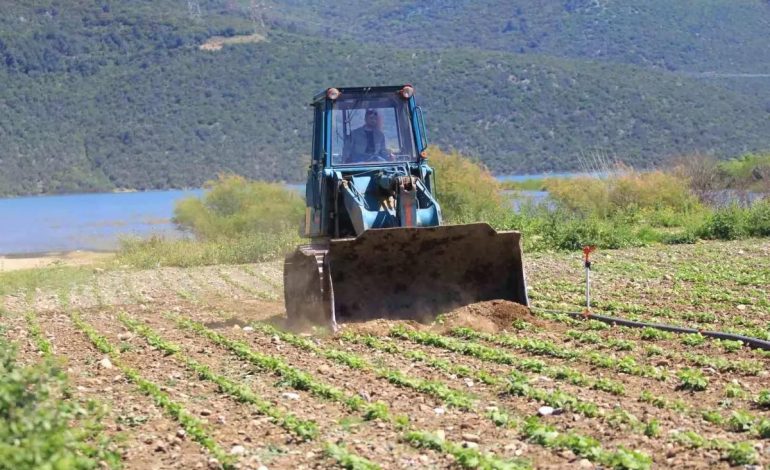 Çiftçiler Hakkında Çelişkili Eylem