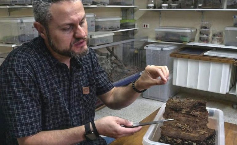 Çiftleşmeden çoğalıp 400 gün aç yaşıyorlar: Şehirleri ele geçiriyorlar