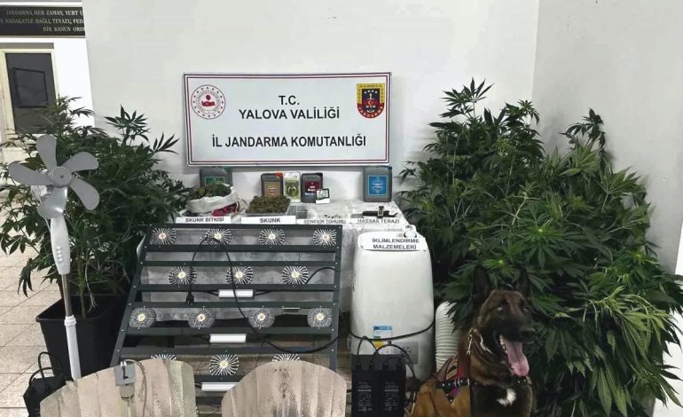 Çınarcık’ta Uyuşturucu Düzenek Operasyonu