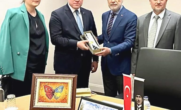 Cumhurbaşkanı Başdanışmanı Topçu: “Hindistan’ın Pakistan’a yaptığı bu kışkırtıcı saldırısını kınıyoruz”