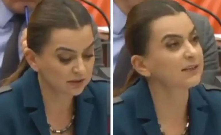 DEM Partili Koçyiğit Kürtçe konuştuğu sırada mikrofonu kapatıldı