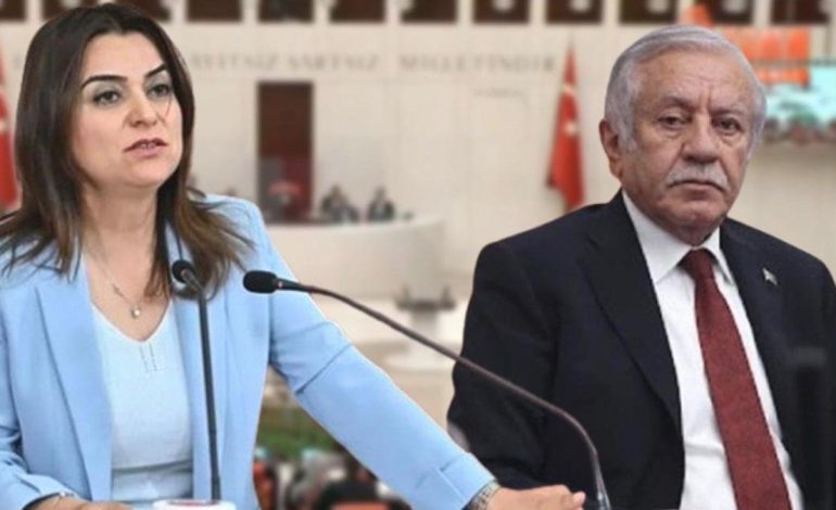 DEM’li Gülistan Koçyiğit Kürtçe konuşmaya başladı: MHP’li Celal Adan mikrofonu kapattı