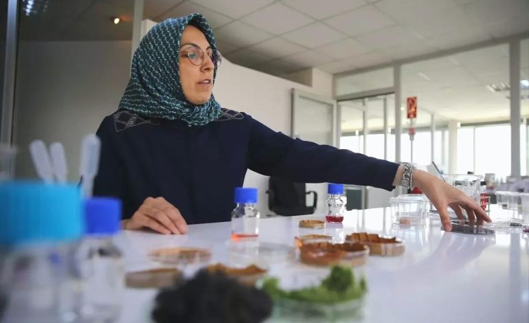 Deniz Yosunlu Akıllı Etiket Geliştirildi
