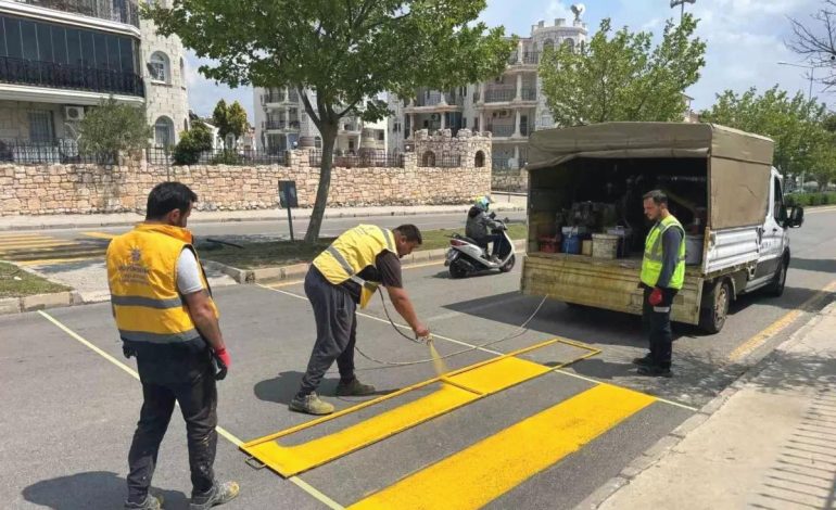 Didim’de Büyükşehir Belediyesi Çevre Düzenleme Çalışmalarını Sürdürüyor