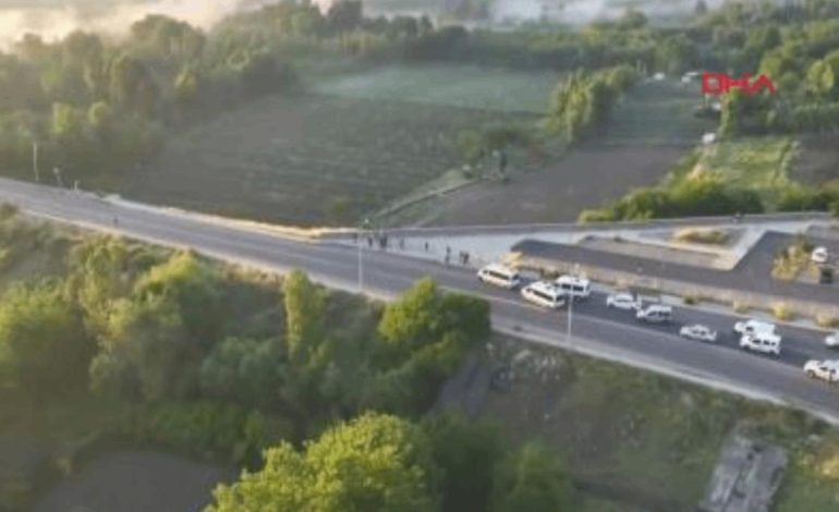 Diyarbakır’da 30 bin kök kenevir yakalandı
