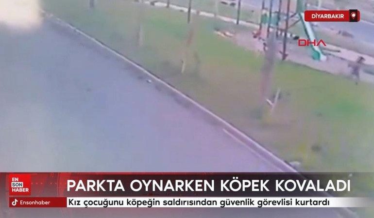 Diyarbakır’da kız çocuğunu köpeğin saldırısından güvenlik görevlisi kurtardı