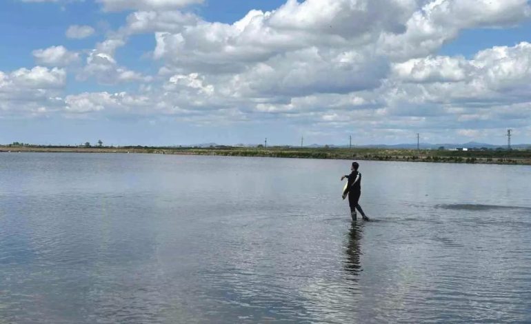 Dünya Çiftçiler Günü İpsala’da Kutlandı