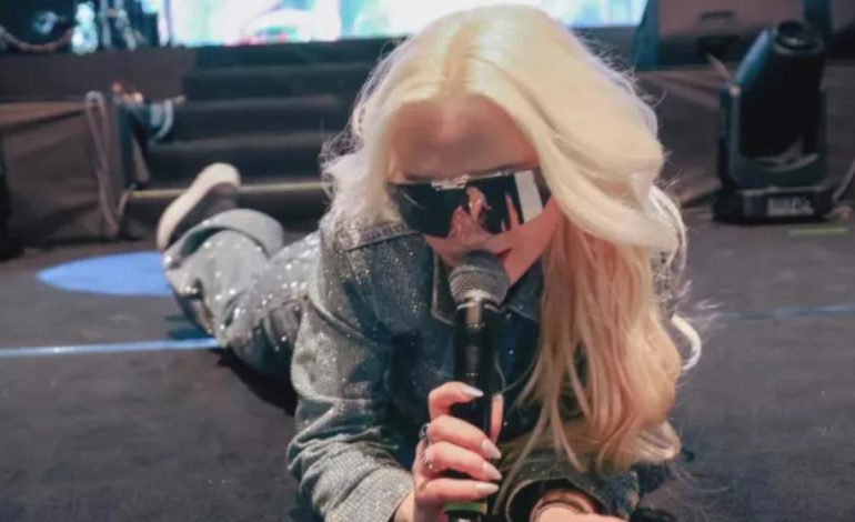 Ece Seçkin konserinde korku dolu anlar! Sahne iskelesine tırmanan hayranı zor indirildi