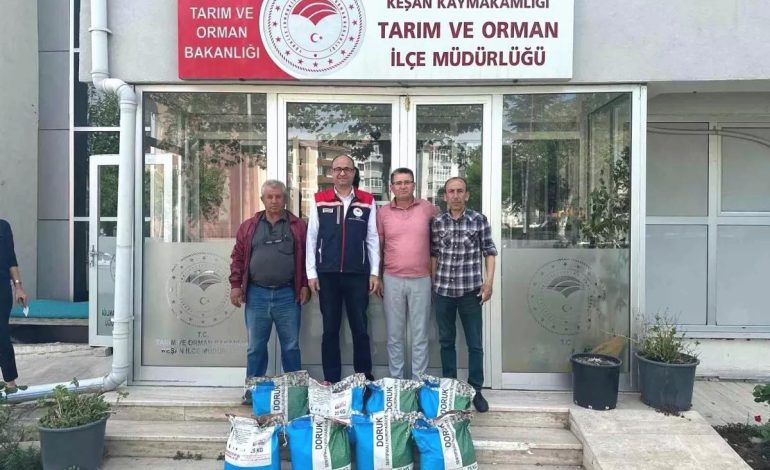 Edirne’de Fasulye Üretimi Destekleniyor