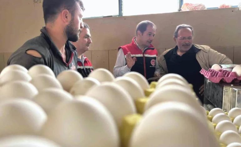 Erzincan’da Tavukçulukta Yeni Yatırımlar