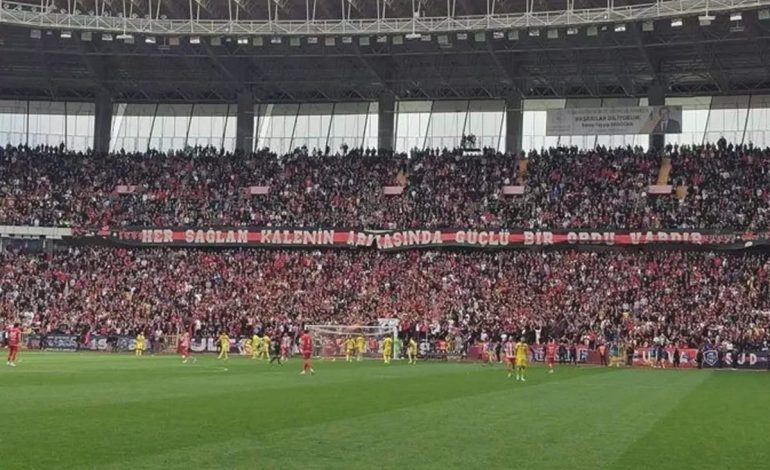 Eskişehirspor, profesyonel liglere geri dönüyor