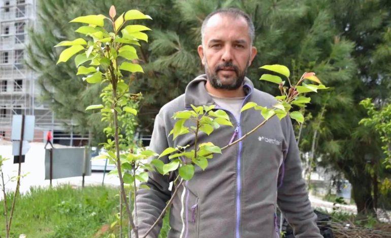 Fidancılık Ailesel Miras Oluyor