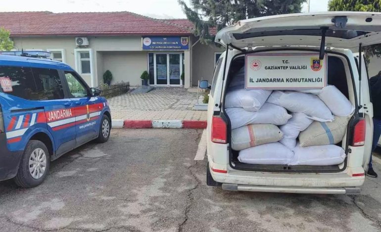 Gaziantep’te Kaçak Tütün Operasyonu