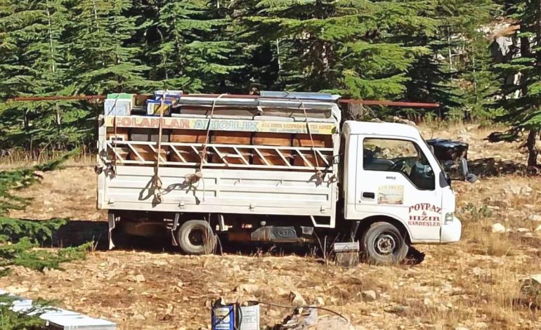 Gazipaşa’da Bal Üretim Sezonu Başladı