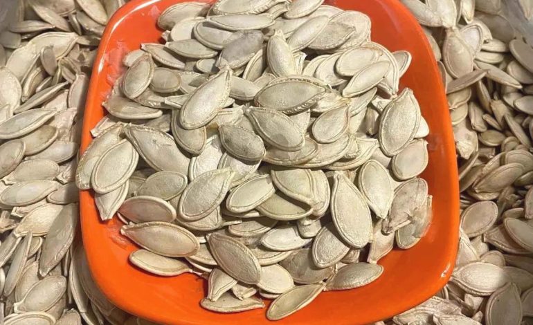 Gıda Güvenliği Uyarısı: Salmonella ve Bacillus cereus Bulaşmaları