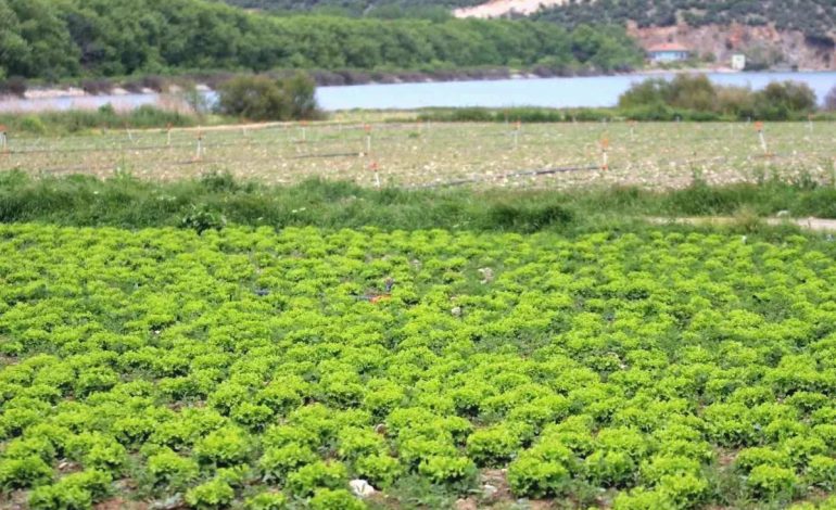 Gölbaşı Barajı’nda Yasa Dışı Tarım Faaliyeti