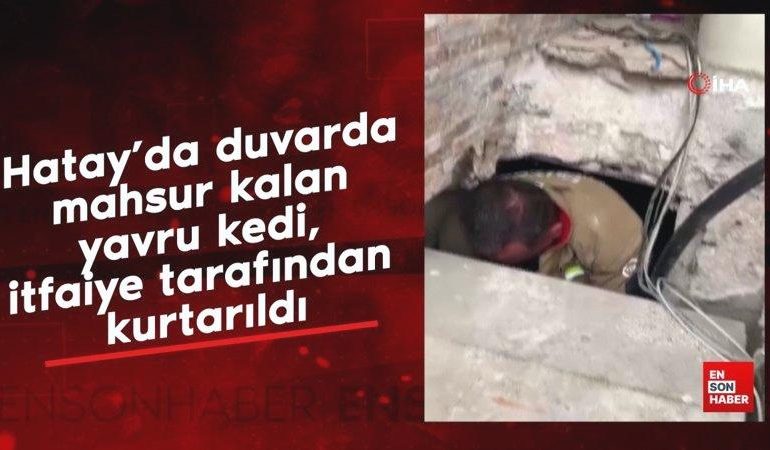 Hatay’da duvarda mahsur kalan yavru kedi, itfaiye tarafından kurtarıldı