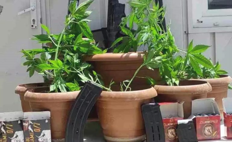 Hatay’da İkamette Hint Keneviri ve Tüfek Ele Geçirildi