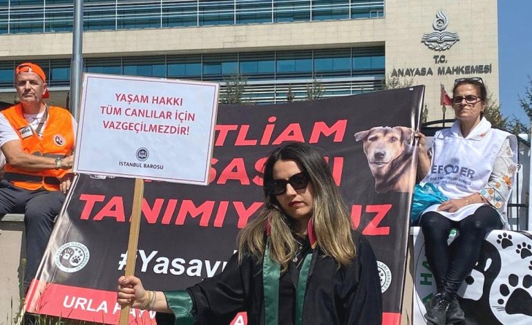 Hayvanseverlerden AYM önünde nöbet