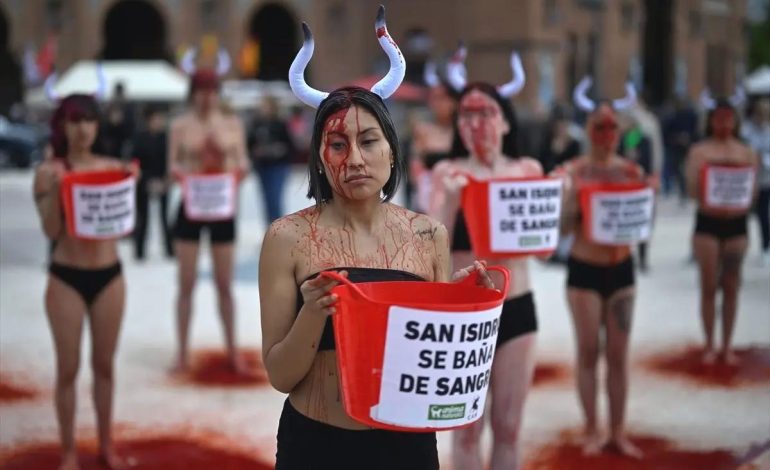 İspanya’da Boğa Güreşleri Protesto Edildi