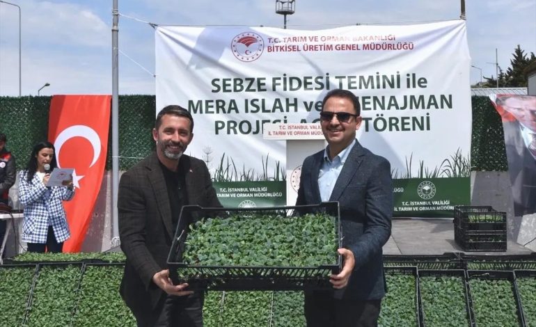 İstanbul’da 1 Milyon Fide Dağıtımı Yapılacak