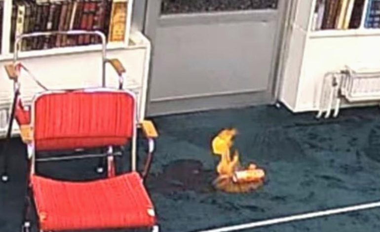 İsveç’te cami kundaklayan şüpheliye tutuklama