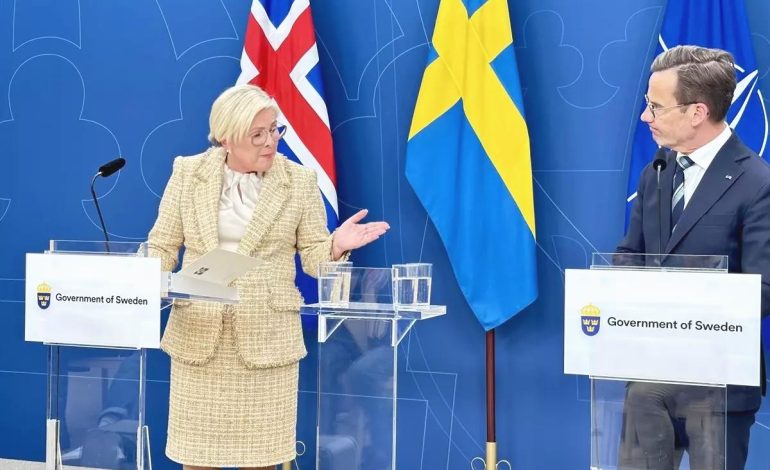 İsveç’ten NATO Harcama Önerisi