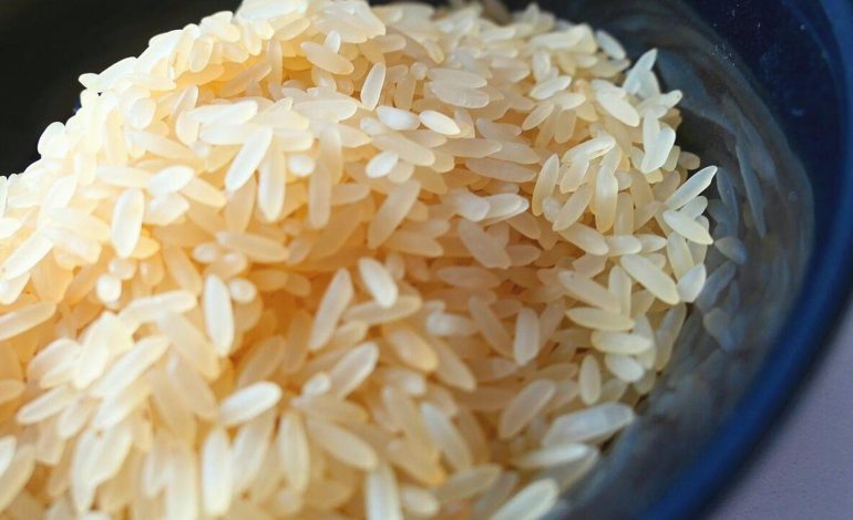 Japonya Tarım Bakanı, ‘hiç pirinç satın almak zorunda kalmadığını’ söyledikten sonra özür diledi