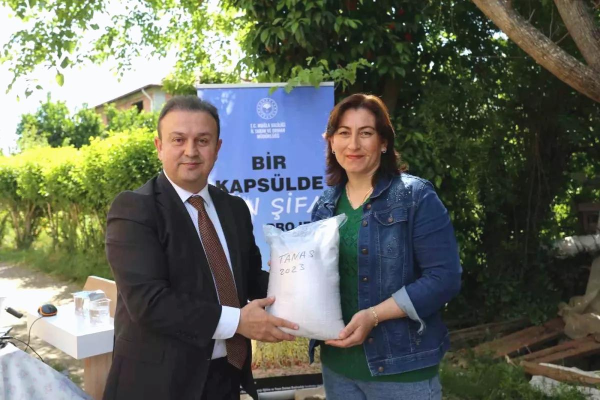 Kadın Çiftçilere Susam Eğitimi ve Tohum Desteği