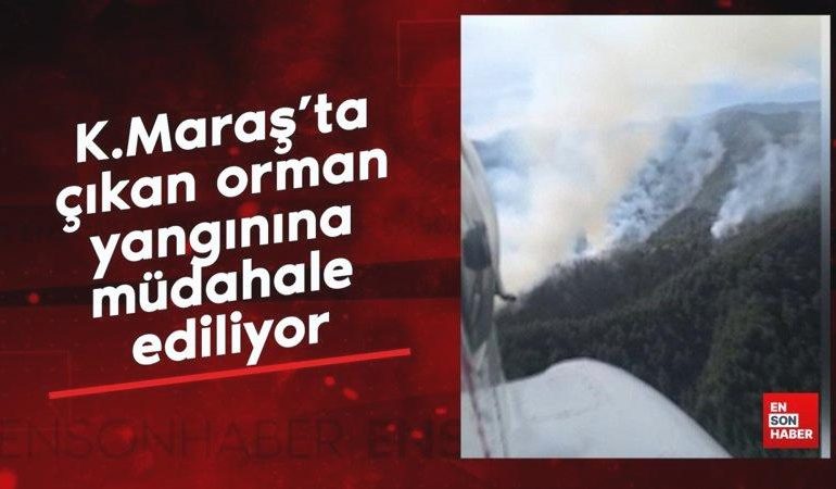 Kahramanmaraş’ta çıkan orman yangınına müdahale ediliyor