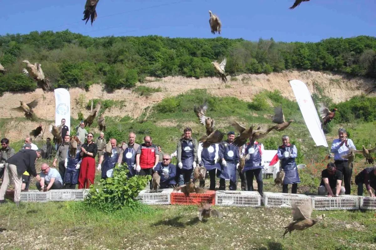 Kahverengi Kokarca ile Mücadelede Biyolojik Çözüm: 800 Sülün Doğaya Salındı
