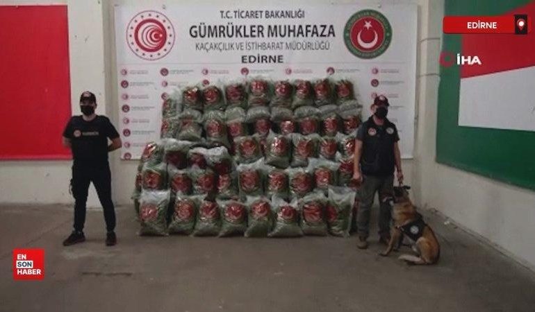 Kapıkule’de 661 kilo esrar, Ambarlı’da 115 bin paket sigara yakalandı