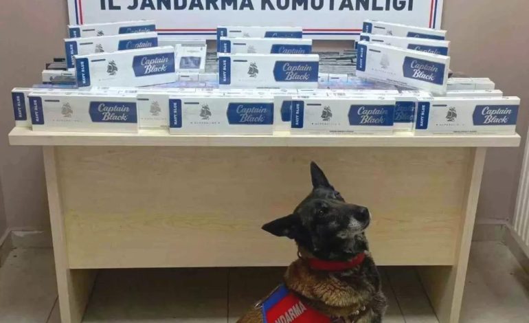 Kayseri’de Tırda Kaçak Sigara Ele Geçirildi