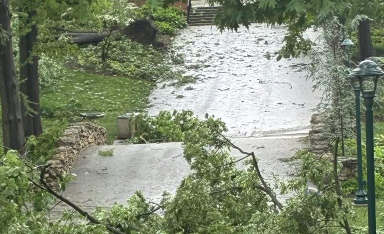 Kentucky ve Missouri’de Kasırga: 21 Ölü
