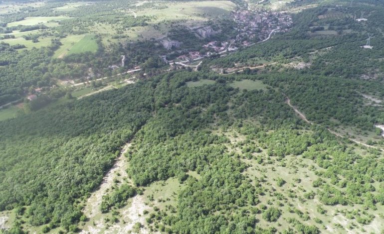 Kırklareli’de ormanlara girişler yasaklandı