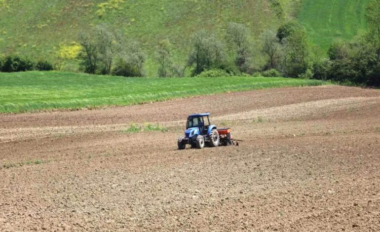 Kocaeli’de Çiftçilere Yüzde 50 Hibeli Mısır Tohumu ve Gübre Desteği