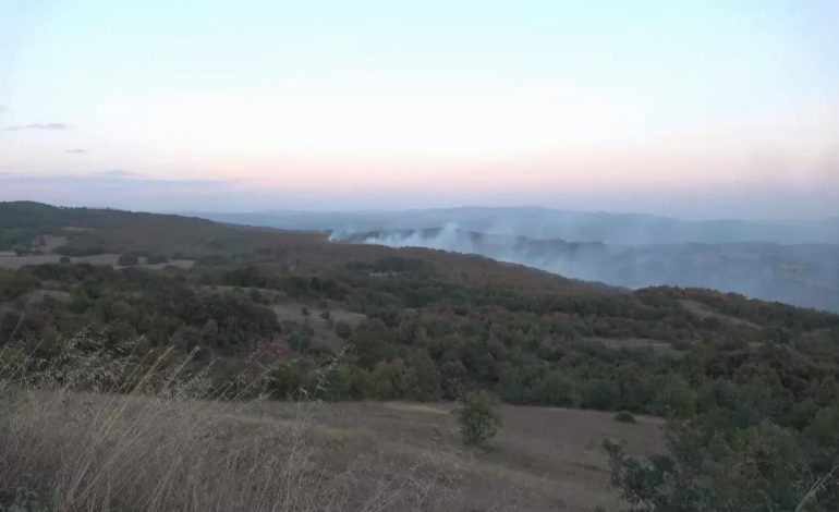 Kocaeli’de Orman Yangınlarına Karşı Önlemler Artıyor