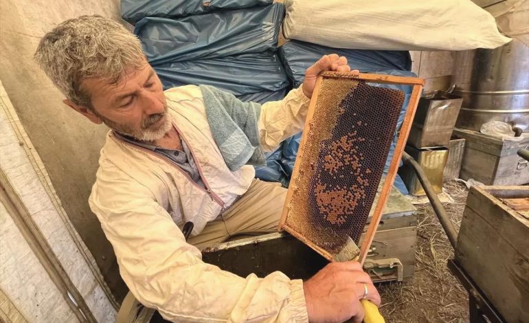 Kumluca’da Narenciye Balı Hasadı Başladı