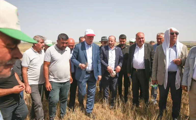 Kuraklık Diyarbakır’da Tarımı Tehdit Ediyor