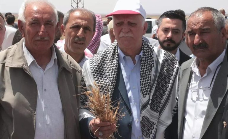 Kuraklık Şırnak’taki Tarımı Tehdit Ediyor
