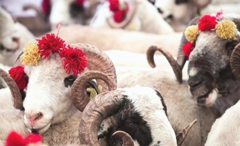 Kurban kesmek kimlere vaciptir? Diyanet cevapladı…