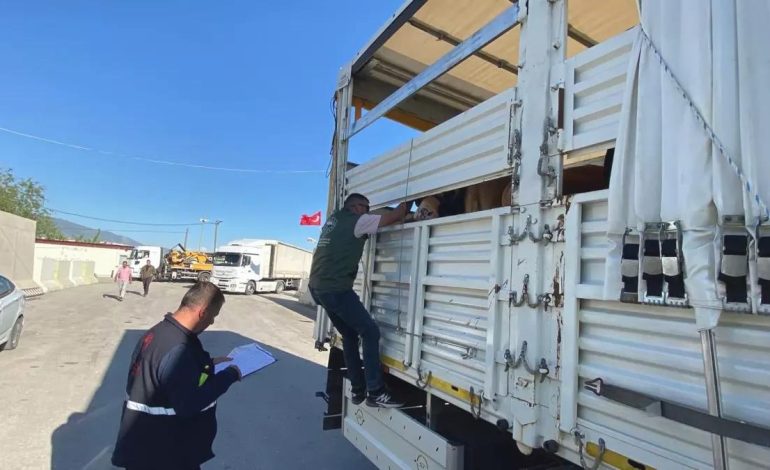 Kurbanlık Hayvan Denetimleri Artırıldı