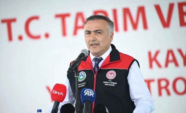 Kurbanlık Hayvan Yeterli