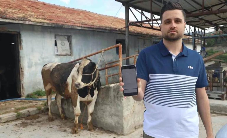 Kurbanlık Tosun Alırken 200 Bin TL Dolandırıldılar