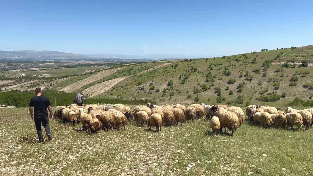 Malatya’da Yayla Göçü Başladı